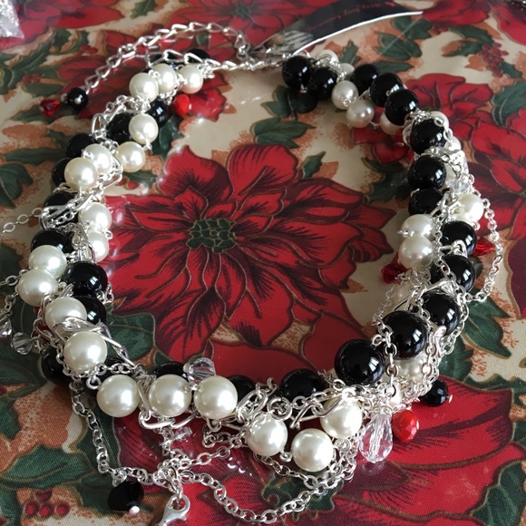 Meet your Posher, Rose🌹🌹🌹🌹 - Picture 7 of 8